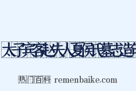 太子宾客赵夫人夏侯氏墓志造句是什么意思的图片